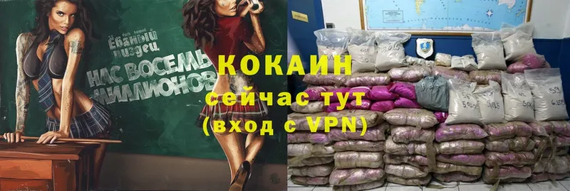 COCAIN Fish Scale  что такое   Тавда 