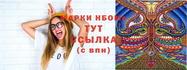 PSILOCYBIN Няндома