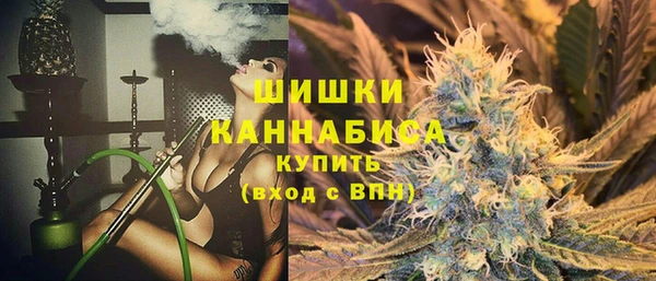 дмт Нягань