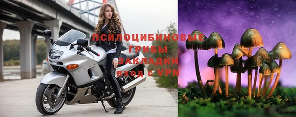 МДПВ Нязепетровск