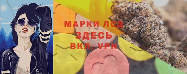 PSILOCYBIN Няндома