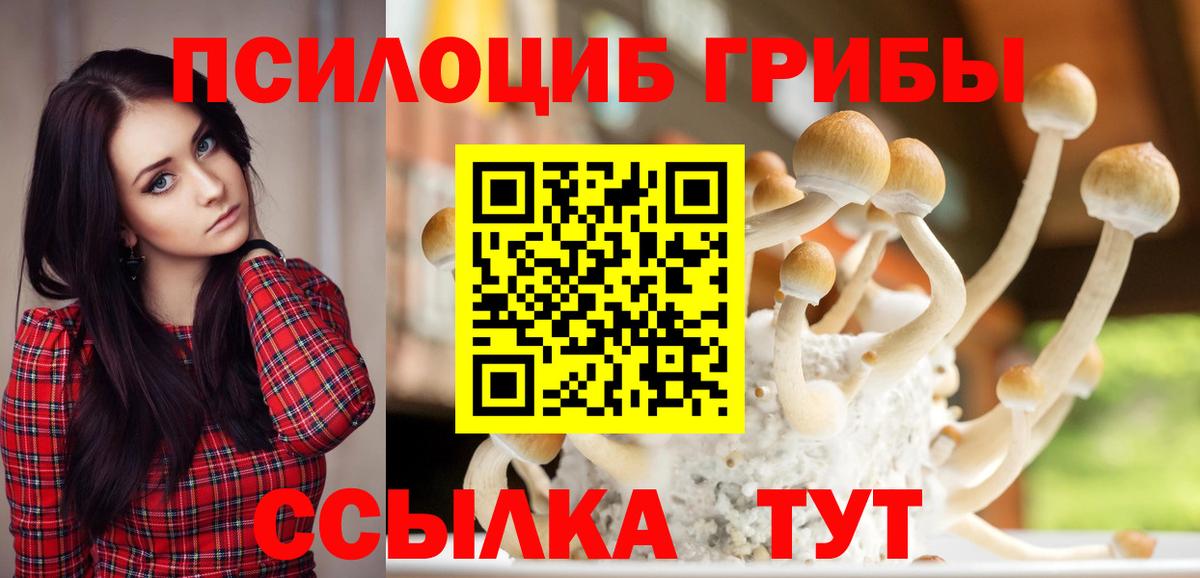 Галлюциногенные грибы Psilocybine cubensis Тавда