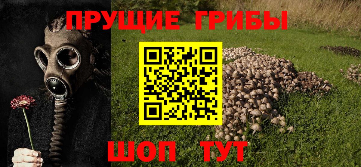 Галлюциногенные грибы Psilocybine cubensis  Псилоцибиновые грибы GOLDEN TEACHER  Вход с VPN  Тавда 