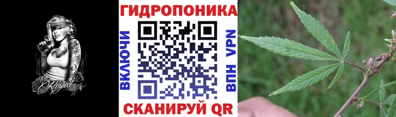 Конопля Amnesia  Тавда 